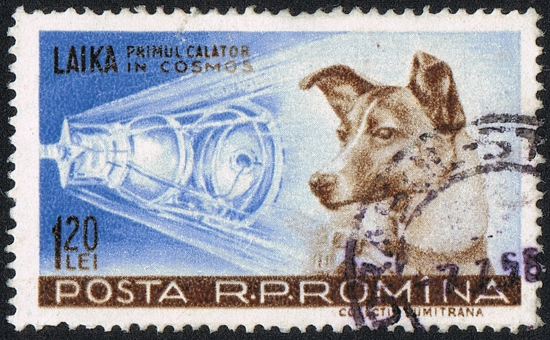 Image: Wikimedia commons